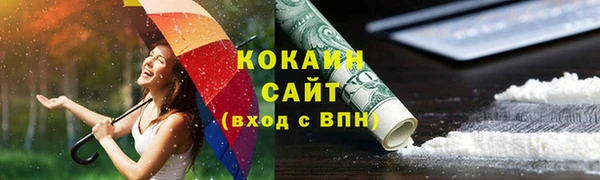 кокс Богородицк