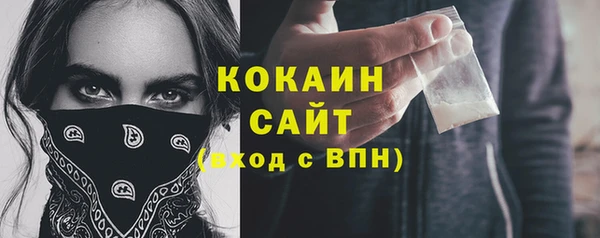 кокс Богородицк