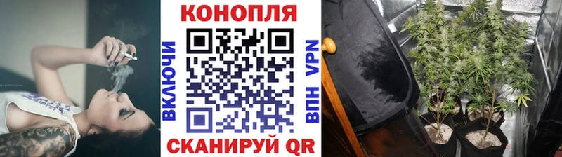 Шишки марихуана конопля  ОМГ ОМГ зеркало  Буйнакск 
